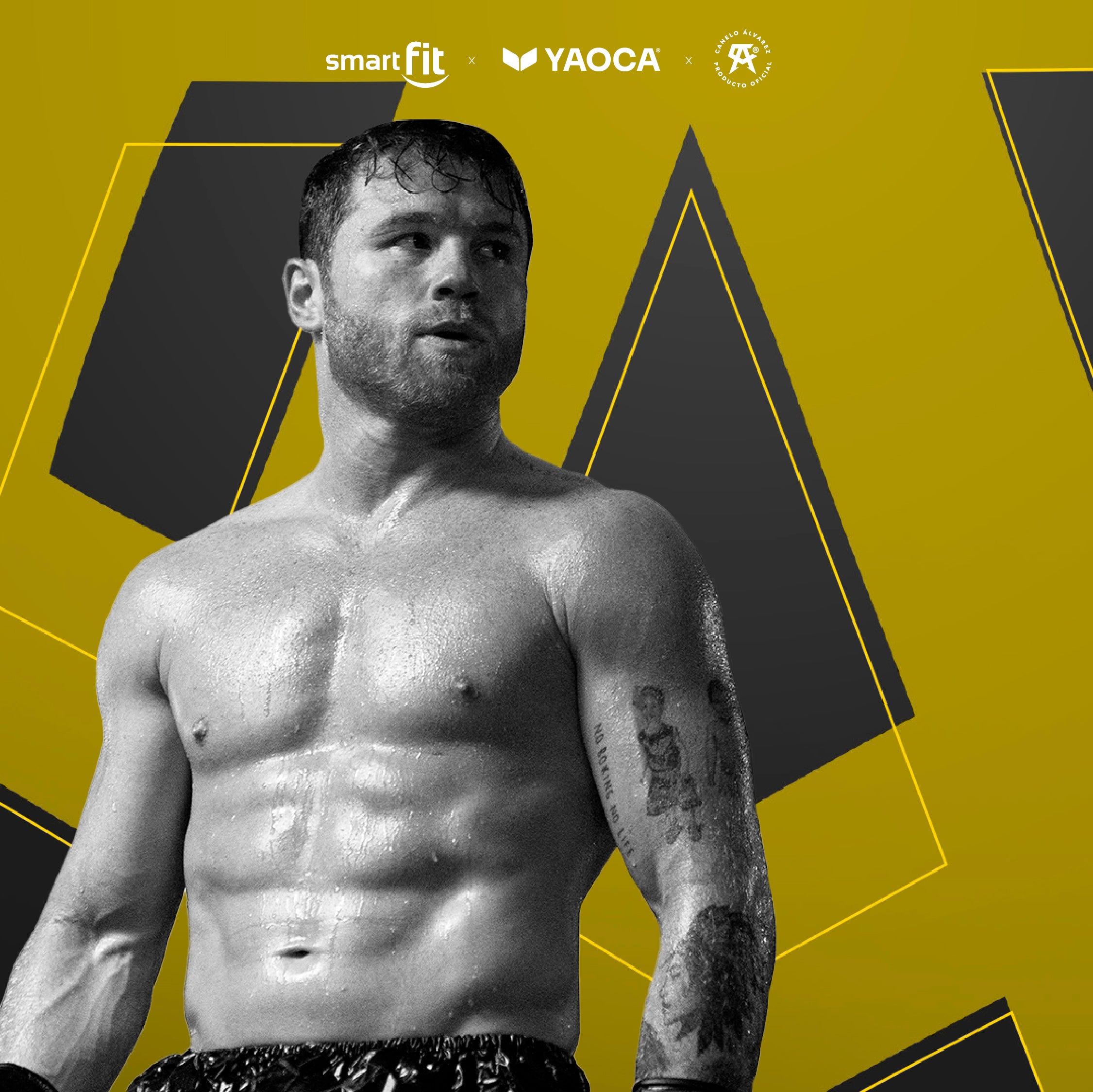 Proteína Vegetal Sabor Vainilla 1 kg